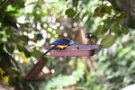 DSC_9195.JPG